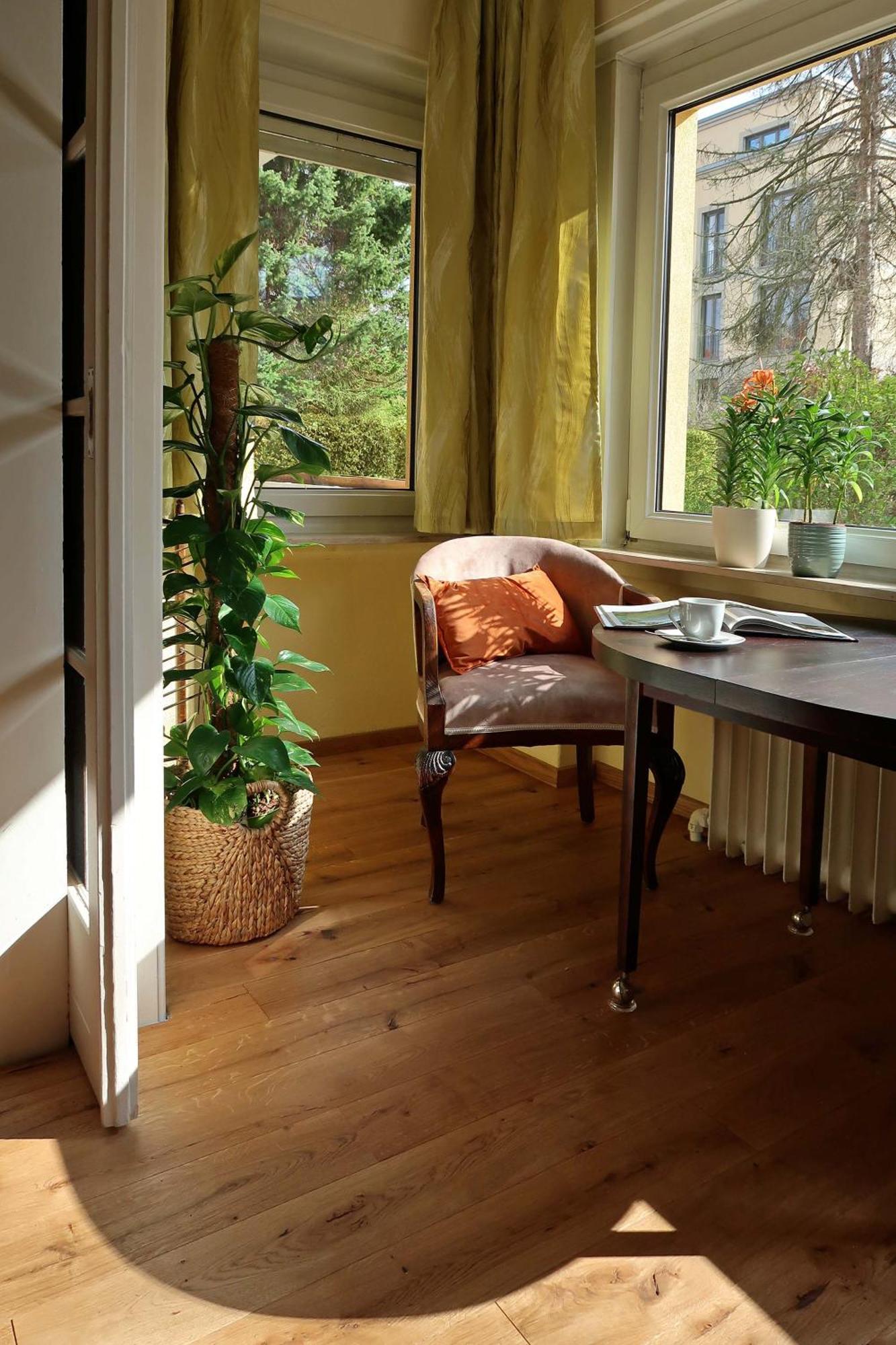 Ankommen Und Wohlfuehlen! 104 Qm In Altstadt-Naehe Dresde Exterior foto